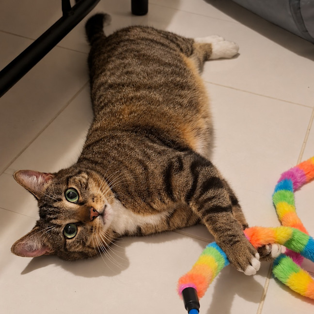 Photo of Tabitha