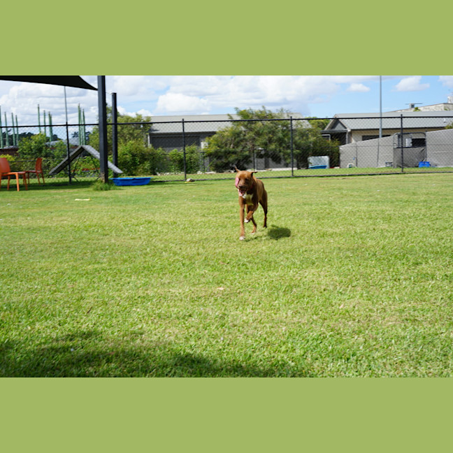 Photo of Wally