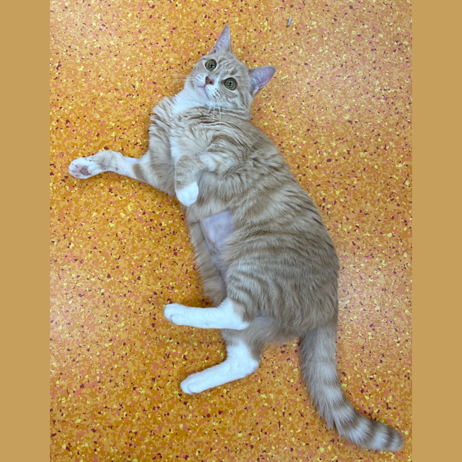 Photo of Cali