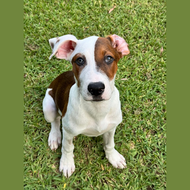 Photo of Mystique