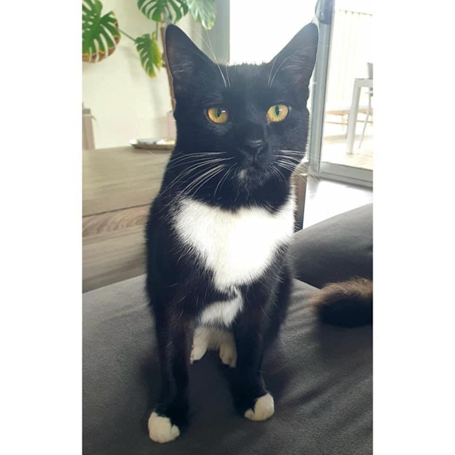 Photo of 10699   Levi