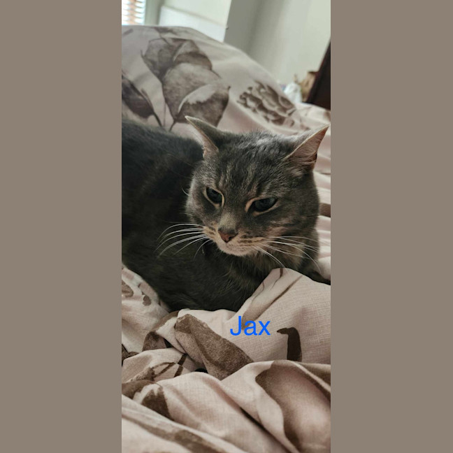 Photo of Jax