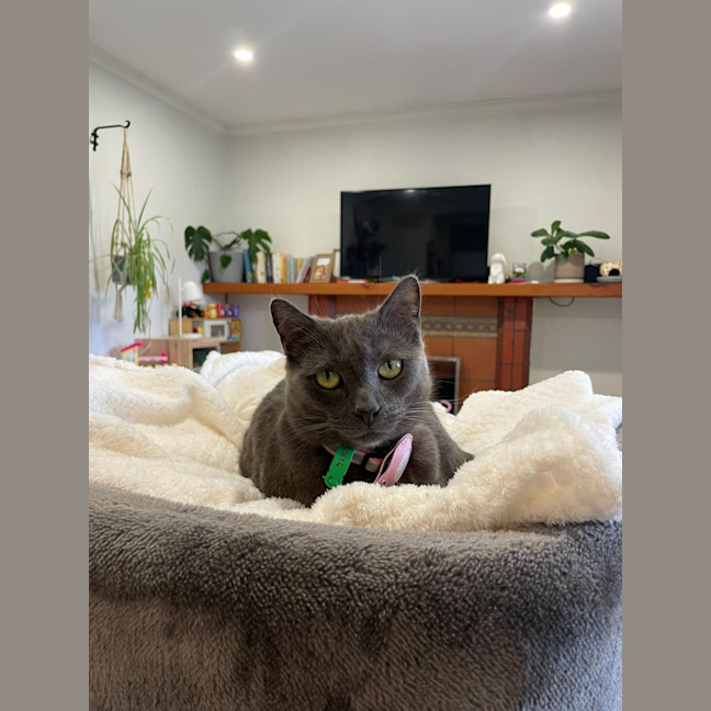 Photo of Luna