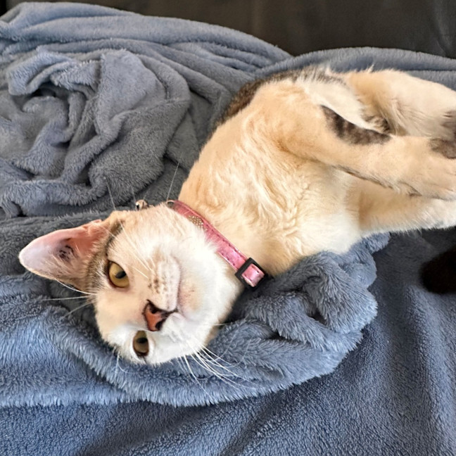 Photo of Molly