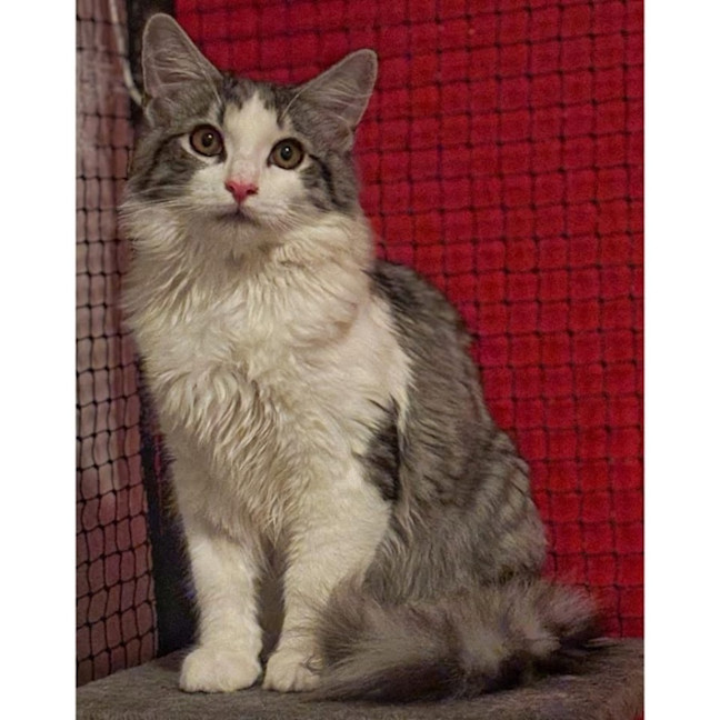 Photo of 12284   Jagger