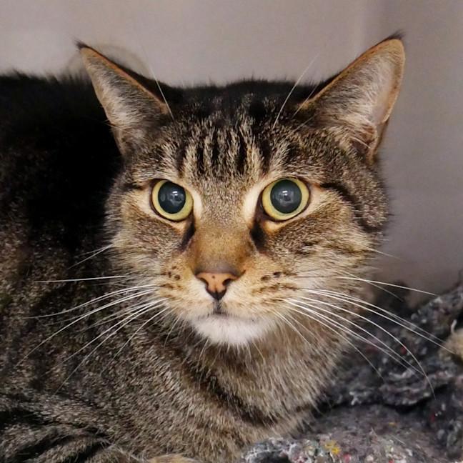 Photo of Spud Sta013717