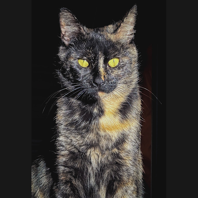 Photo of Juliet