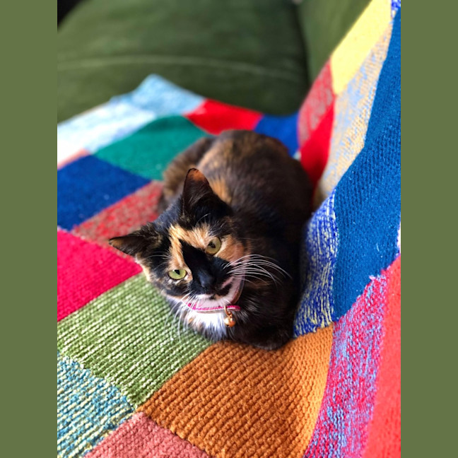 Photo of Viv (Vivienne)