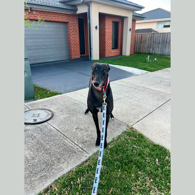 Photo of Bertie