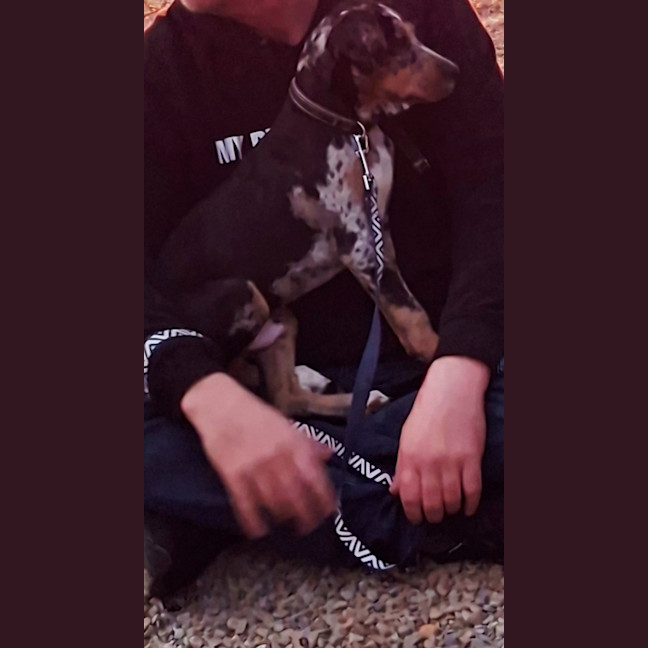 Photo of Patch