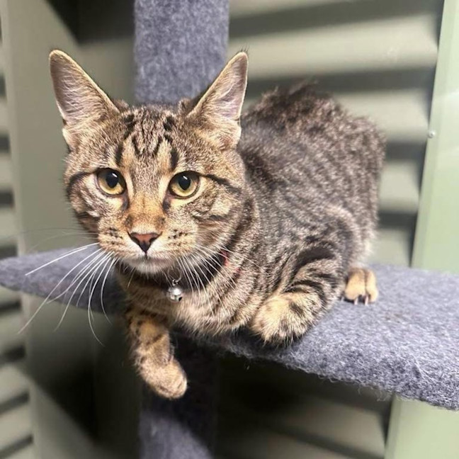 Photo of 11693   Sven