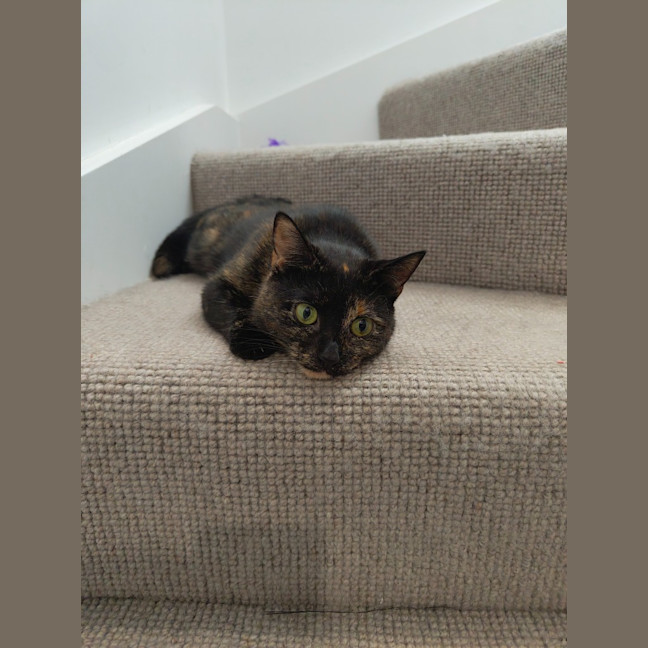 Photo of Hera