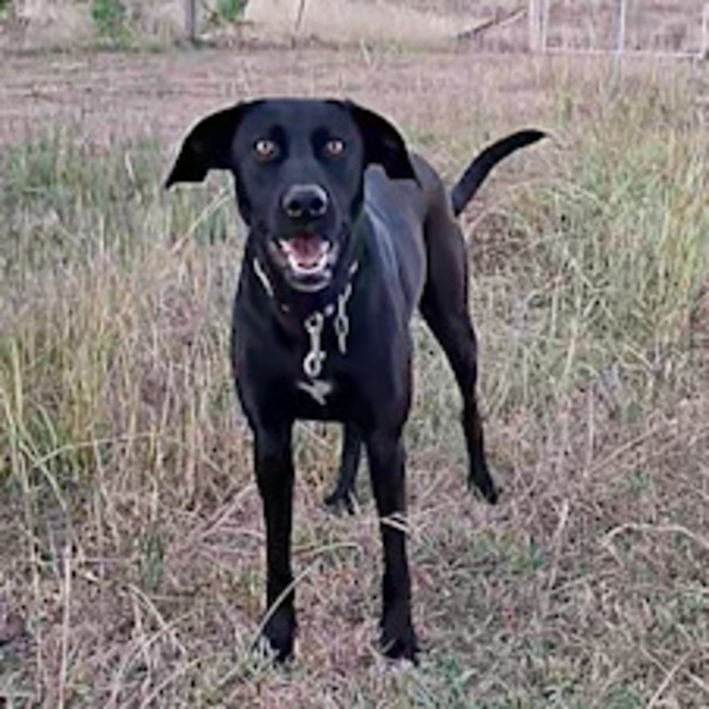Photo of Mia