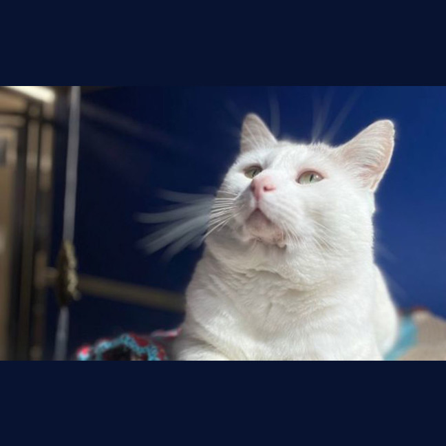 Photo of Mr. Chomps