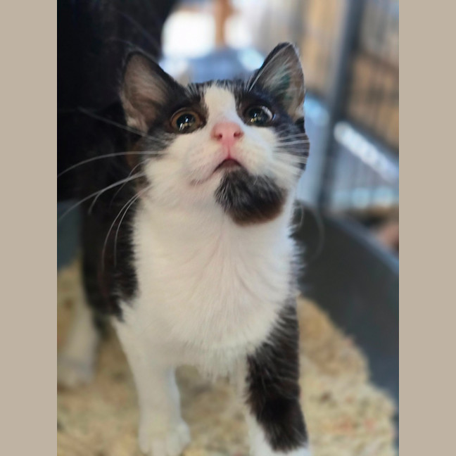 Photo of Tempe