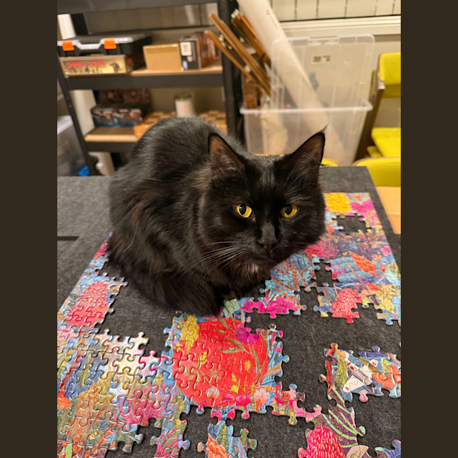 Photo of Poppy