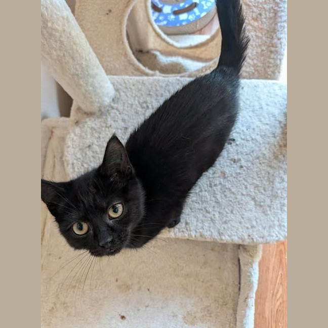 Photo of Lilith