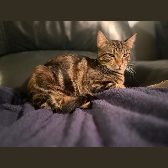 Photo of Tilly 