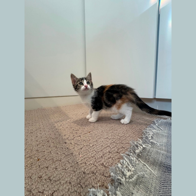 Photo of Clara