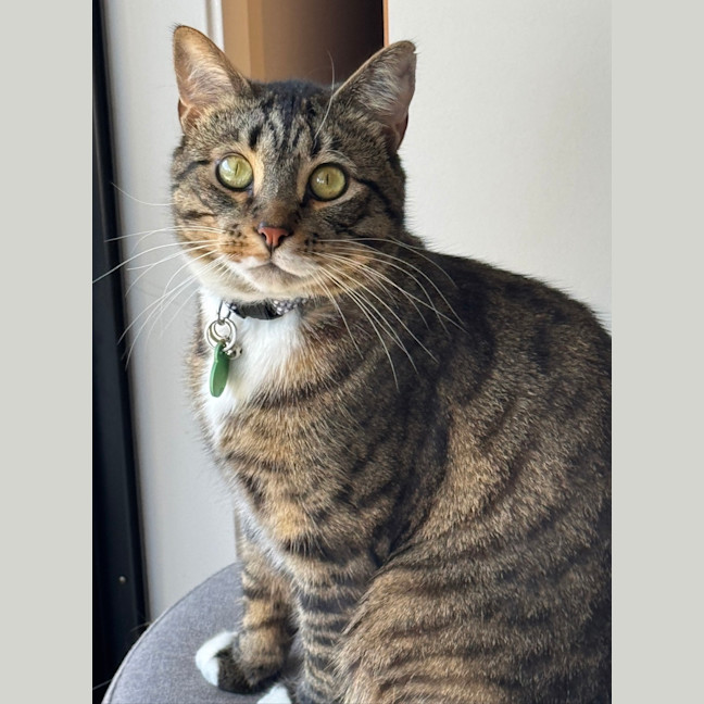 Photo of Bumpkin 