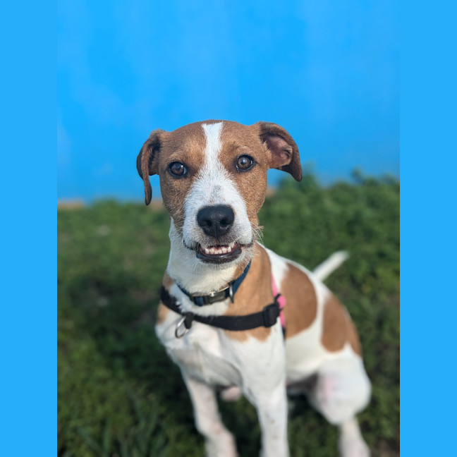 Photo of Mac 