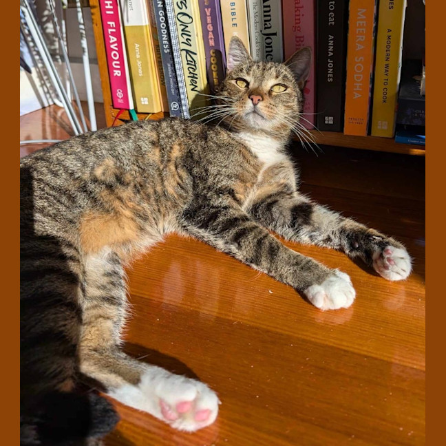 Photo of Monty