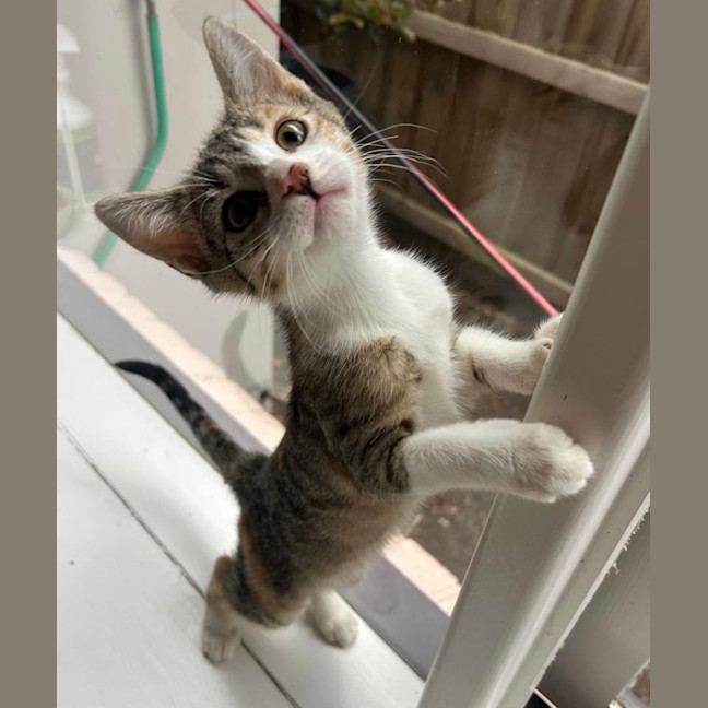 Photo of Rainer 🎄❤️