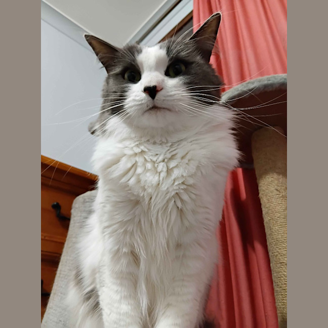 Photo of Aspen