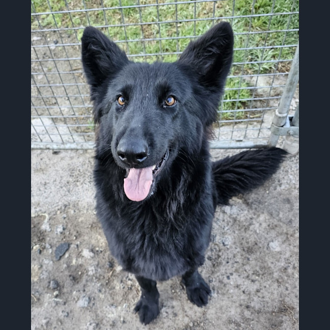 Photo of Lucy
