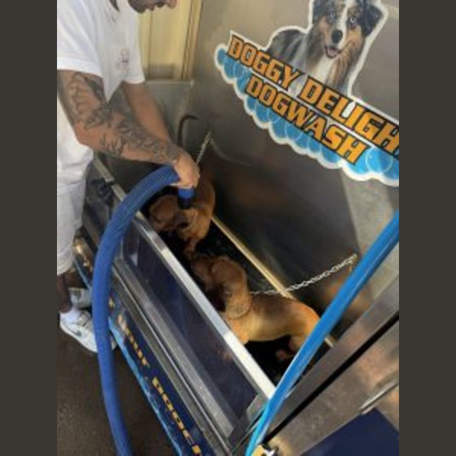 Photo of Paddy & Banjo