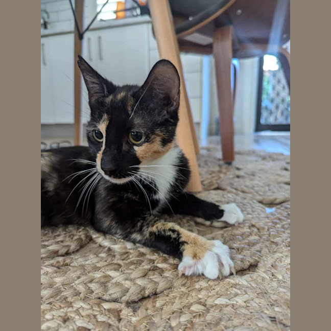 Photo of Trudy