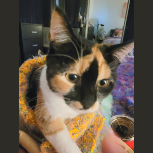 Photo of Jj Moo