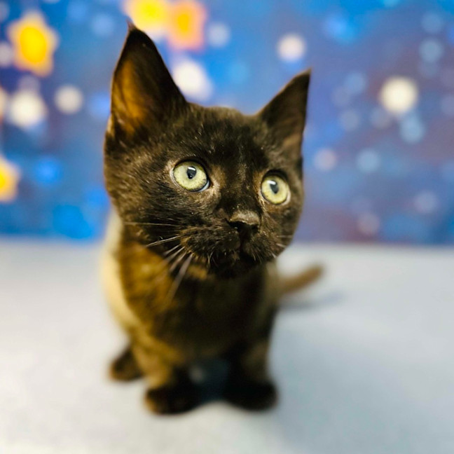 Photo of Barry   Located In Preston 