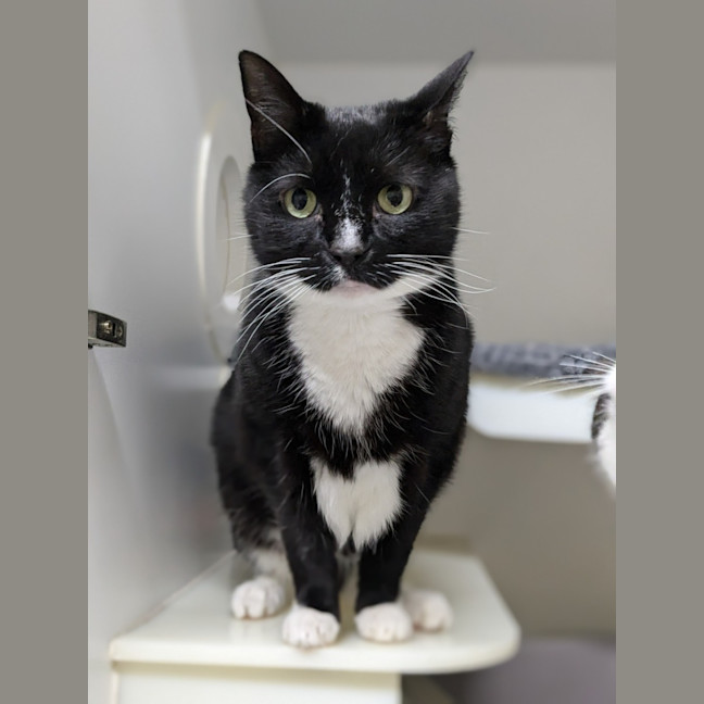 Photo of 🦜 Monte 5438 🦜