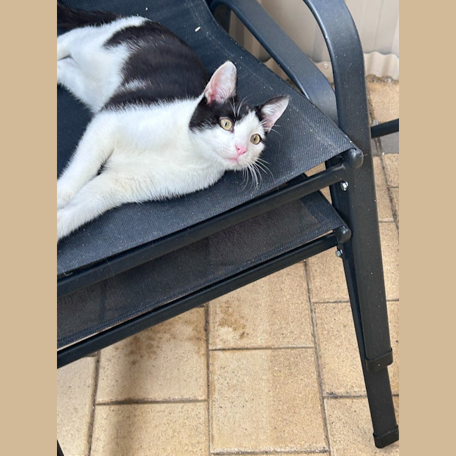 Photo of Sailor
