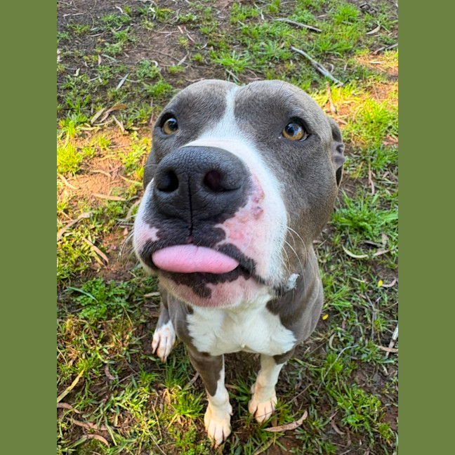 Photo of Zeus