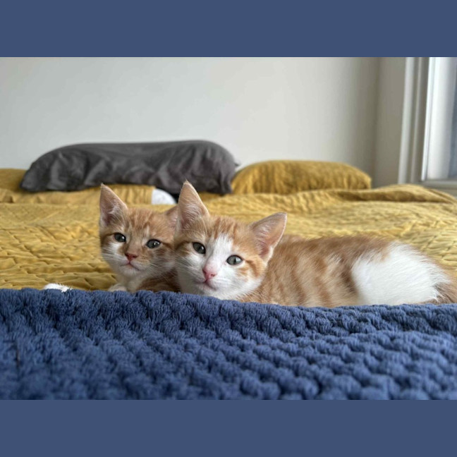 Photo of Elodie & Etienne