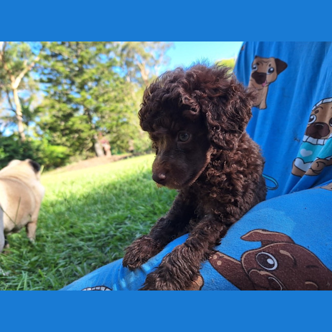 Photo of Timmy