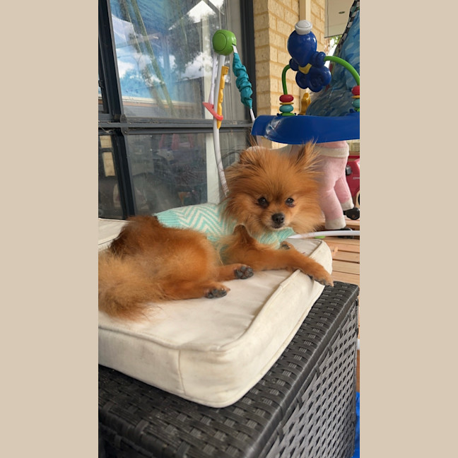 Photo of Pinky