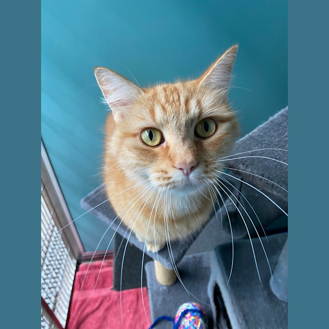 Photo of Lulu