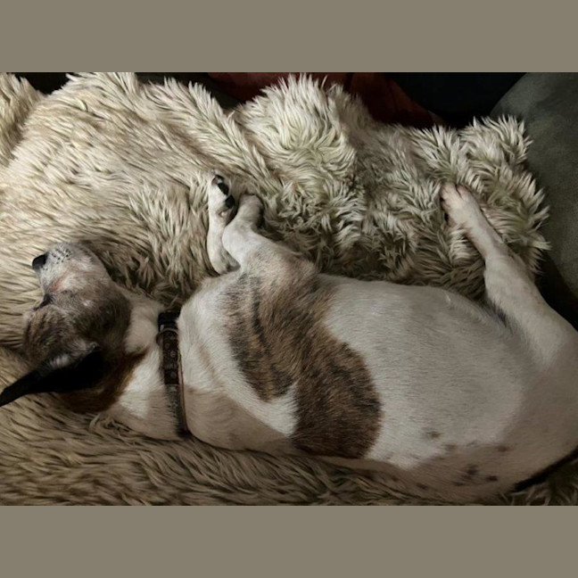 Photo of Coriolanus Snow Peggotty