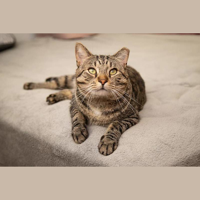 Photo of Vincent