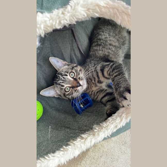 Photo of Max