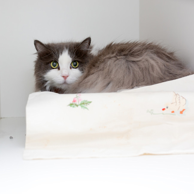 Photo of Peggy