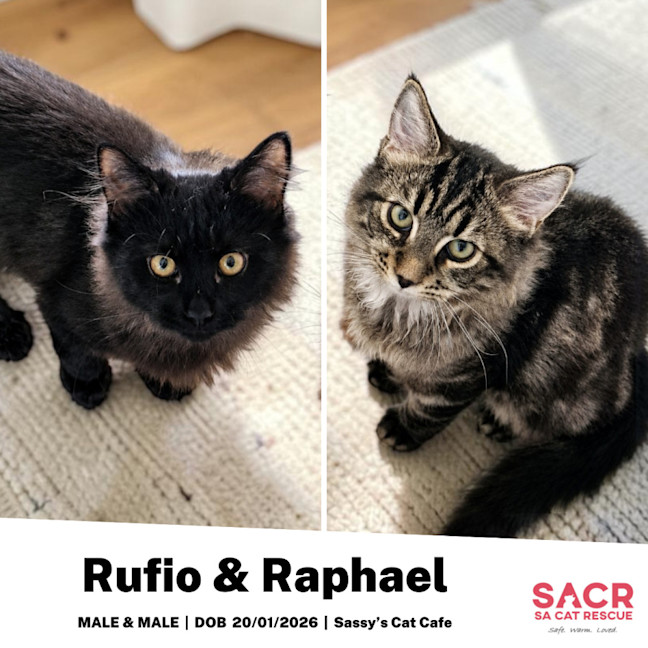 Photo of Rufio & Raphael