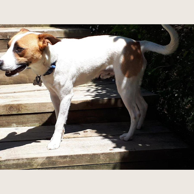 Photo of Jackson Moriarty