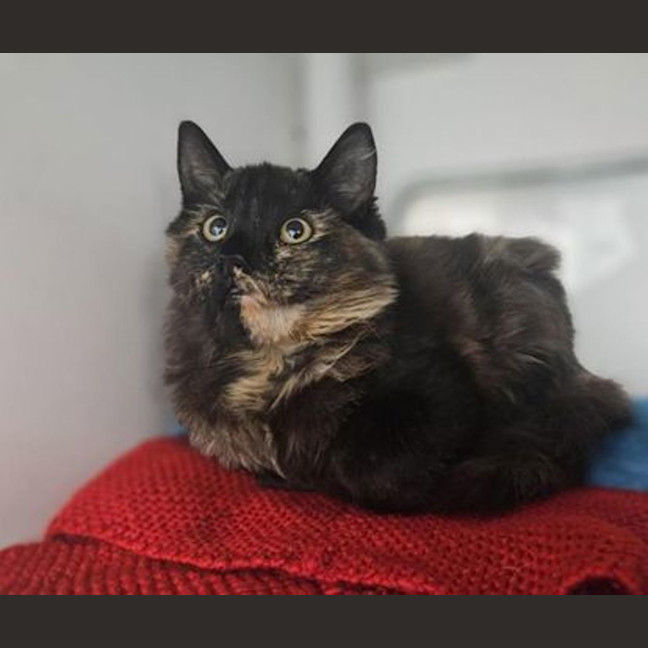 Photo of Dorothy