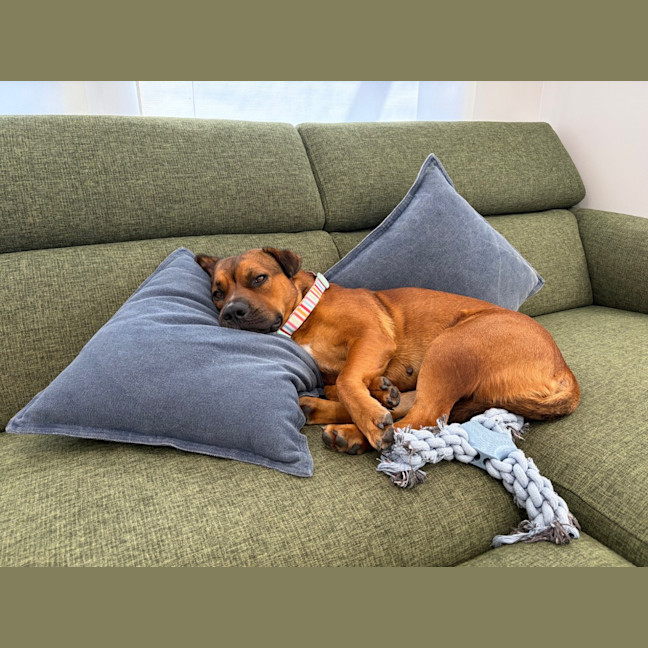 Photo of Princess (Prinny)