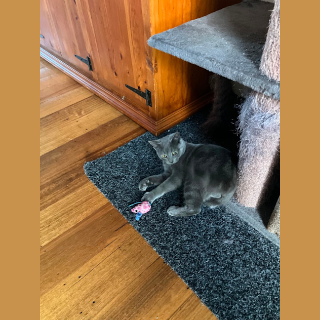 Photo of Gus
