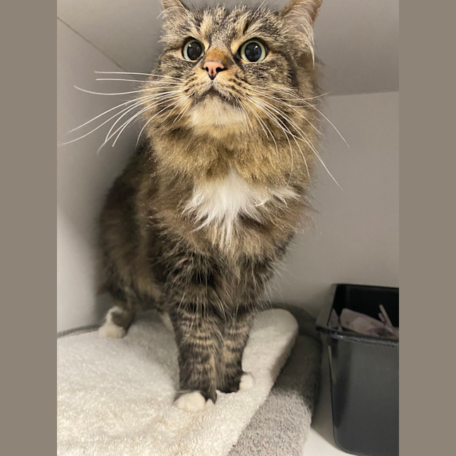 Photo of Lucy